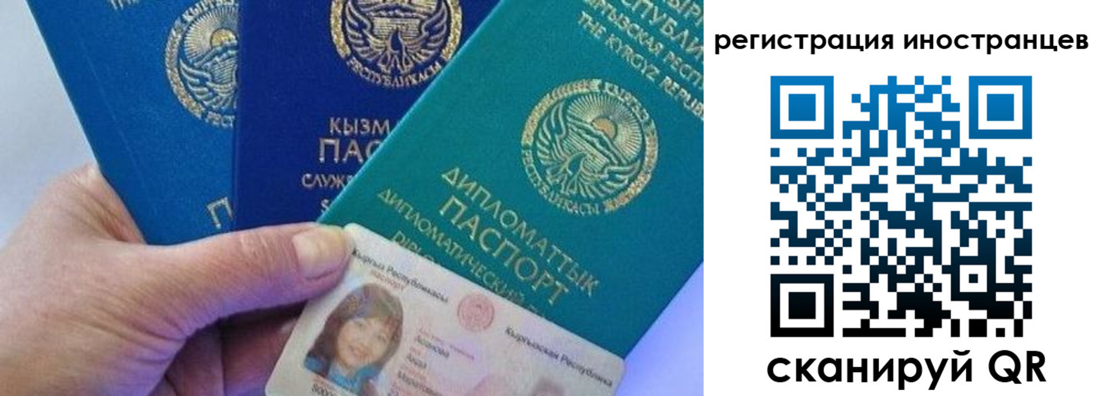 прописка в Чайковском